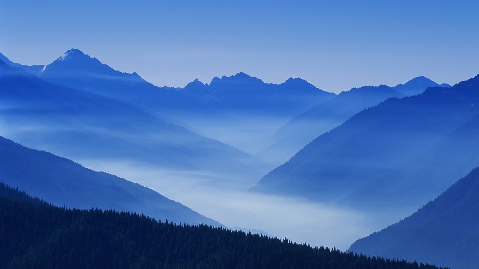 世界举重公开赛数据驱动训练平台上线,世界举重冠军赛